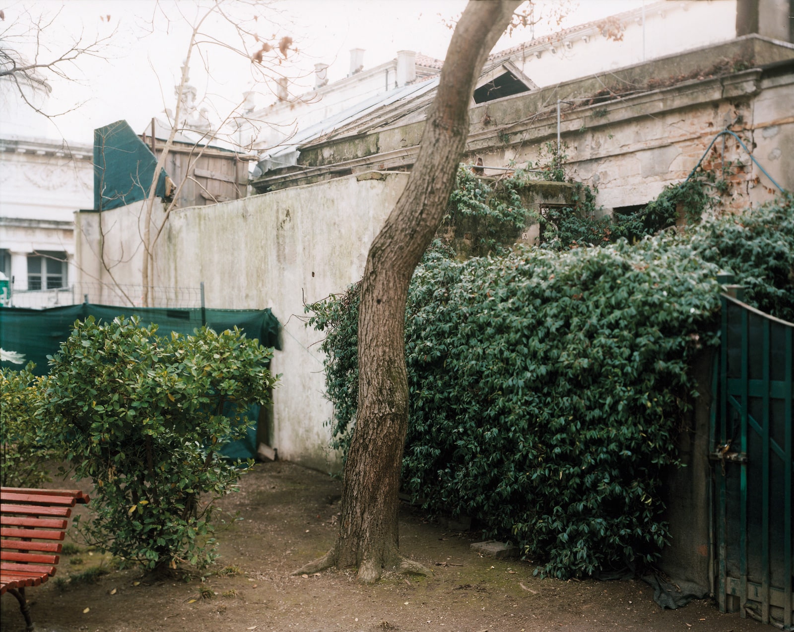 Francesco Neri, Giardini Reali, edifici incongrui in rovina, lato ovest del giardino, 2014